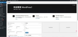 2025独立站SEO教程 2 WORDPRESS